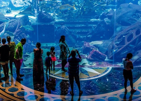 Atlantis Lost Chambers Aquarium