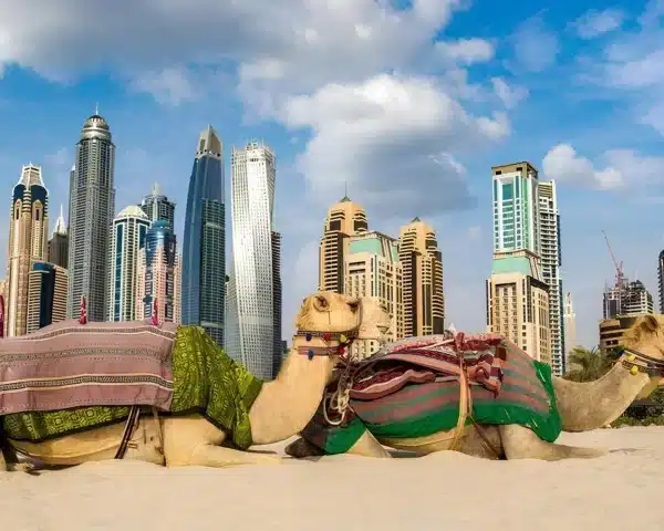 Traditional Dubai city tour