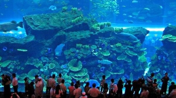 Dubai aquarium and underwater zoo